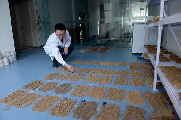 果樹的光合作用與土壤水分有什么關系？